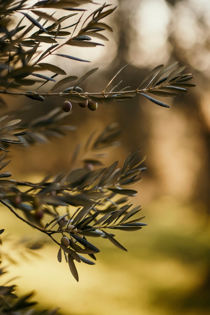 About carousel image 8